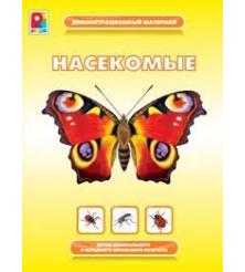 МОЛ Демонстрационный материал "Насекомые" 