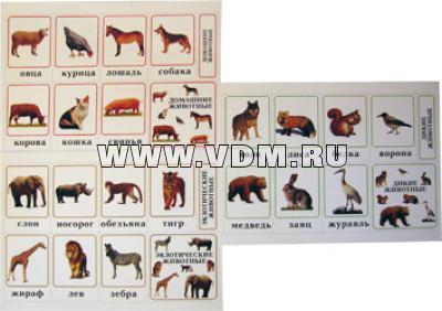 EKUD 0302 Животные (3 панели-домашн,дикие,экзотич.)